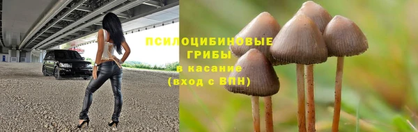 прущие крисы Вязьма