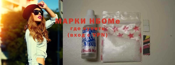 сатива Вяземский
