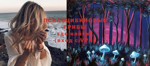 молекула духа Верея