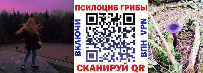 Псилоцибиновые грибы мицелий  Калач 