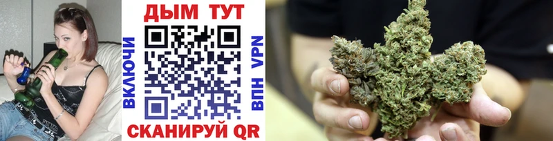 где продают наркотики  Калач  Бошки марихуана конопля 